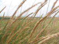 Данилове з panoramio.com