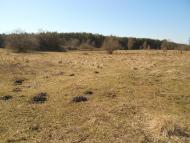 Снігурівка з panoramio.com