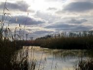 Новопілля з panoramio.com