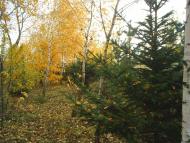 Теліжинці з panoramio.com