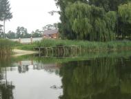 Матюші з panoramio.com