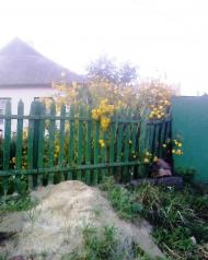 Фащівка з panoramio.com