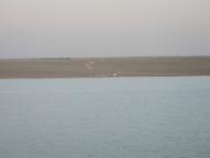 Новоіванівка з panoramio.com