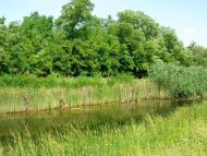 Новопілля з panoramio.com