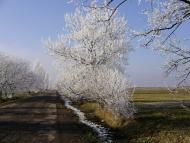 Коритняни з panoramio.com