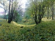 Шпитьки з panoramio.com