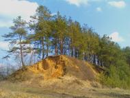 Гамаліївка з panoramio.com