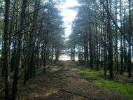 Новосілки з panoramio.com