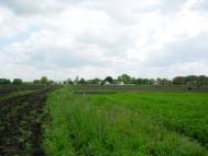 Первомайськ з panoramio.com