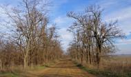 Новий Гребеник з panoramio.com