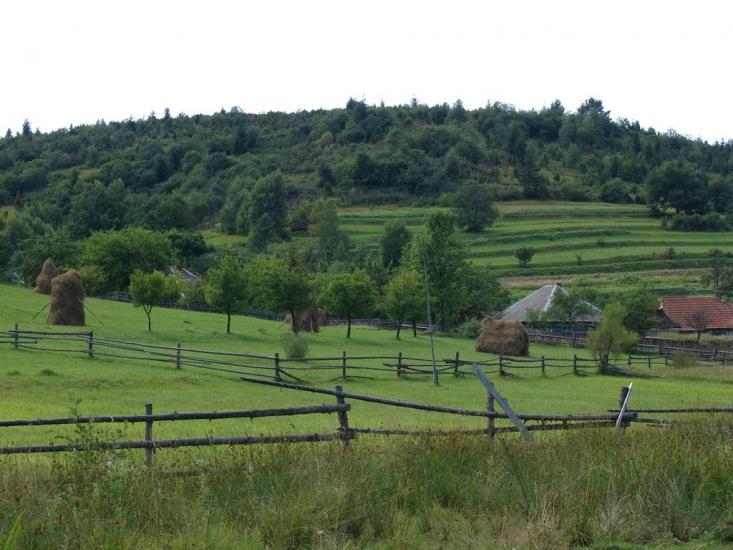 Люта з panoramio.com - Lyuta