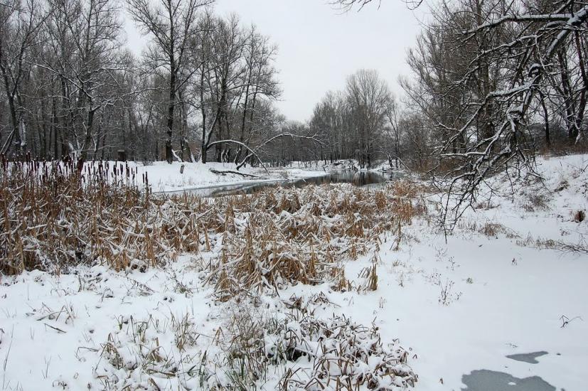 Кремінна з panoramio.com - Кремінна