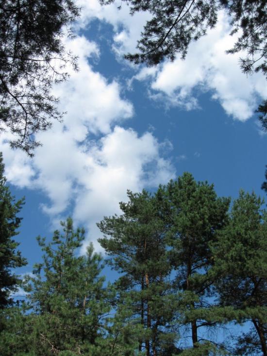 Чапаєвка з panoramio.com - Чапаевка
