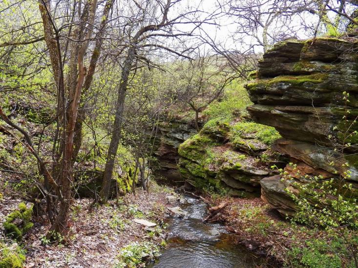 Ольховатка з panoramio.com - Olkhovatka