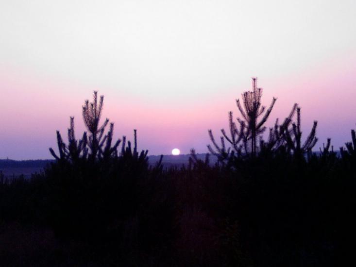 Катеринівка з panoramio.com - Катеринівка