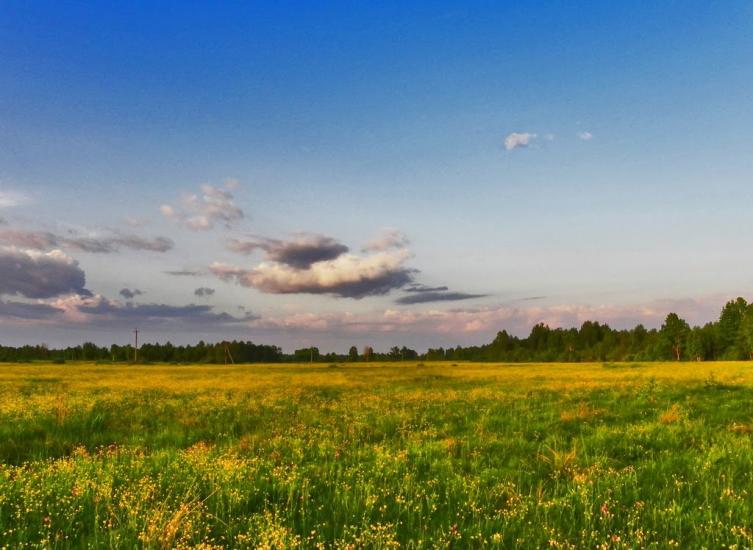 Грибова Рудня з panoramio.com - Грибова Рудня
