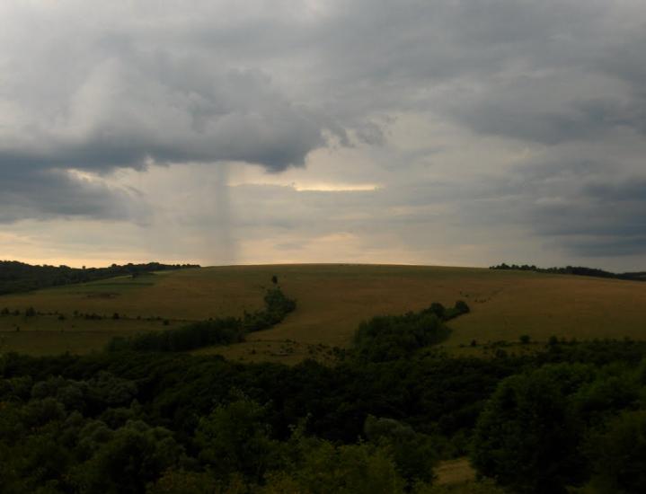 Виноградне з panoramio.com - Виноградне