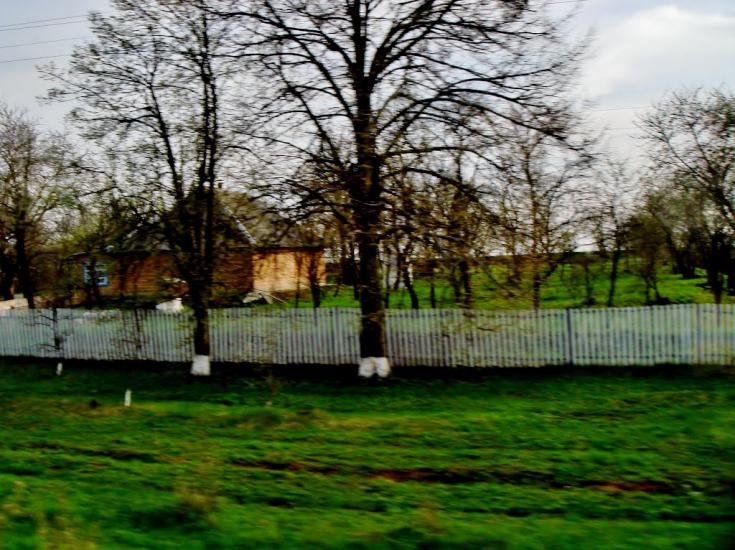 Смільчинці з panoramio.com - Смельчинцы