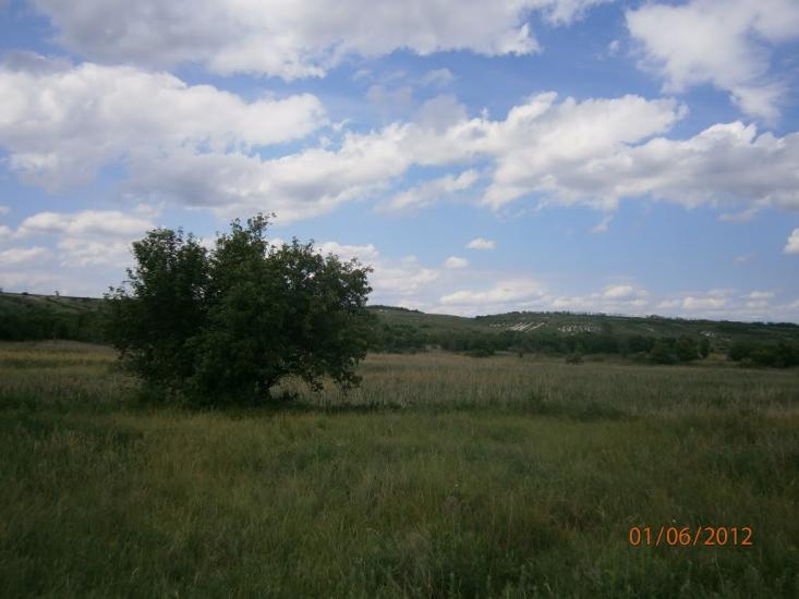Колядівка з panoramio.com - Колядовка