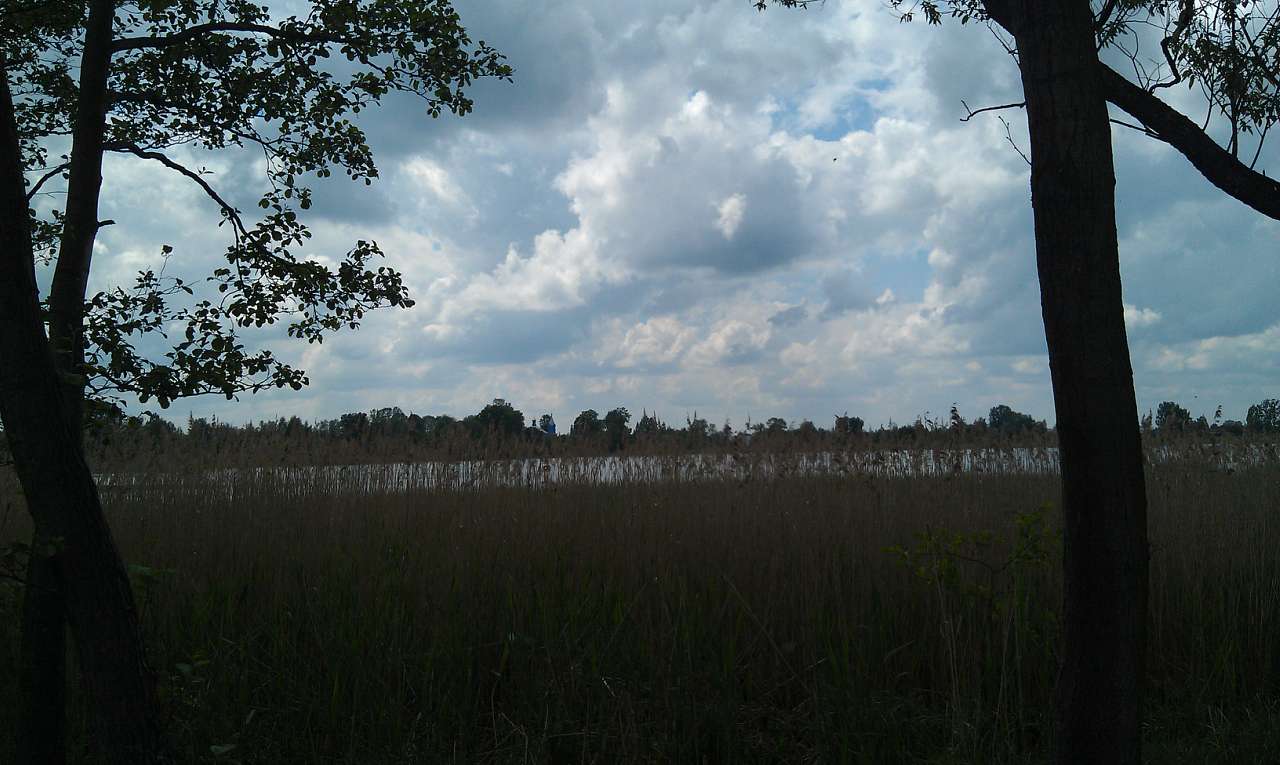 Любохини - Любохини