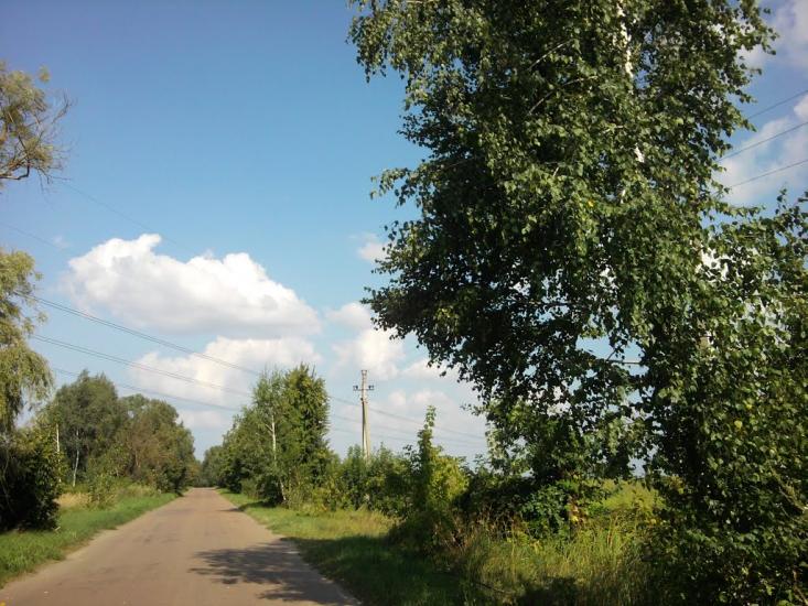 Терехівка з panoramio.com - Тереховка
