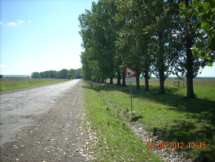 Негівці з panoramio.com - Негівці