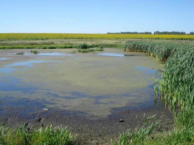 Макіївка з panoramio.com - Макіївка