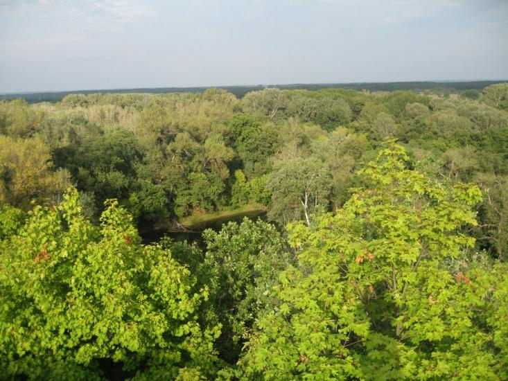 Плавні з panoramio.com - Плавни