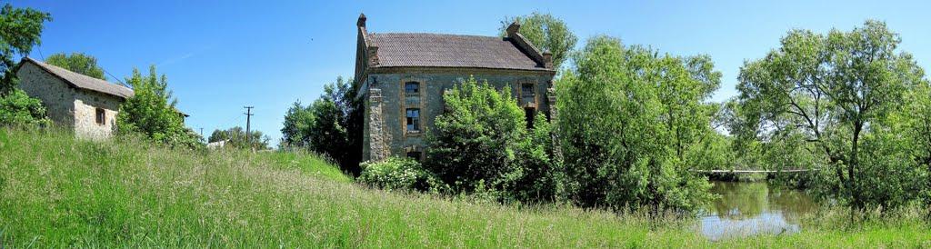 Вільха з panoramio.com - Вільха