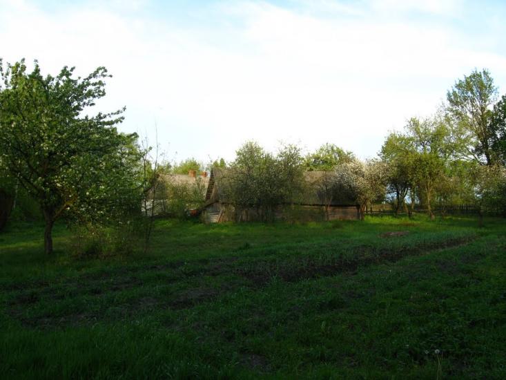 Уріччя з panoramio.com - Уріччя