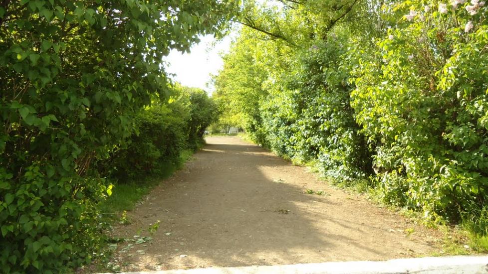 Нижня Апша з panoramio.com - Нижня Апша