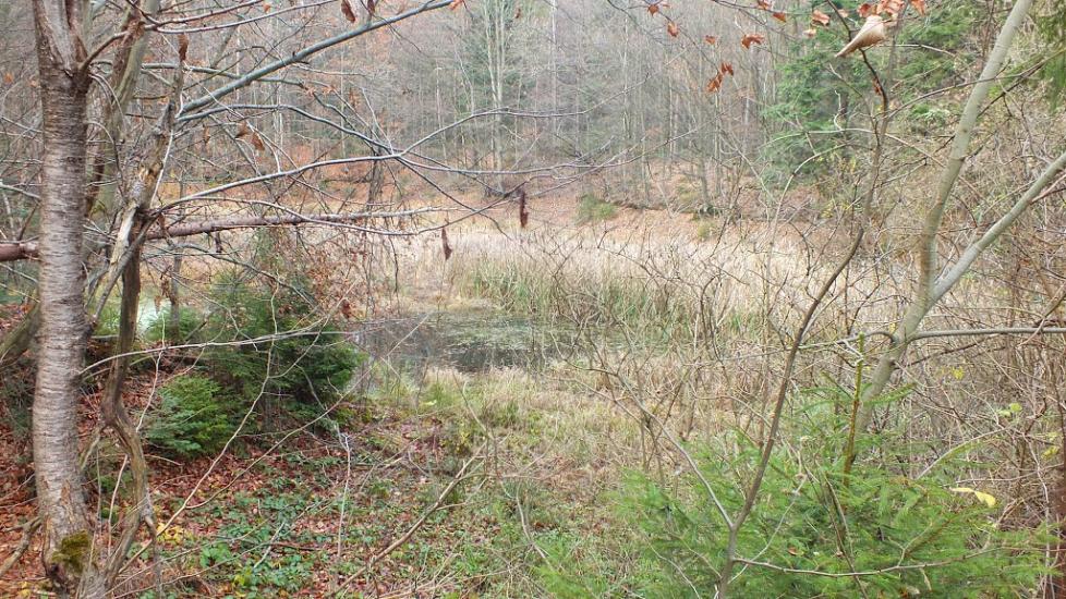 Середній Майдан з panoramio.com - Середній Майдан