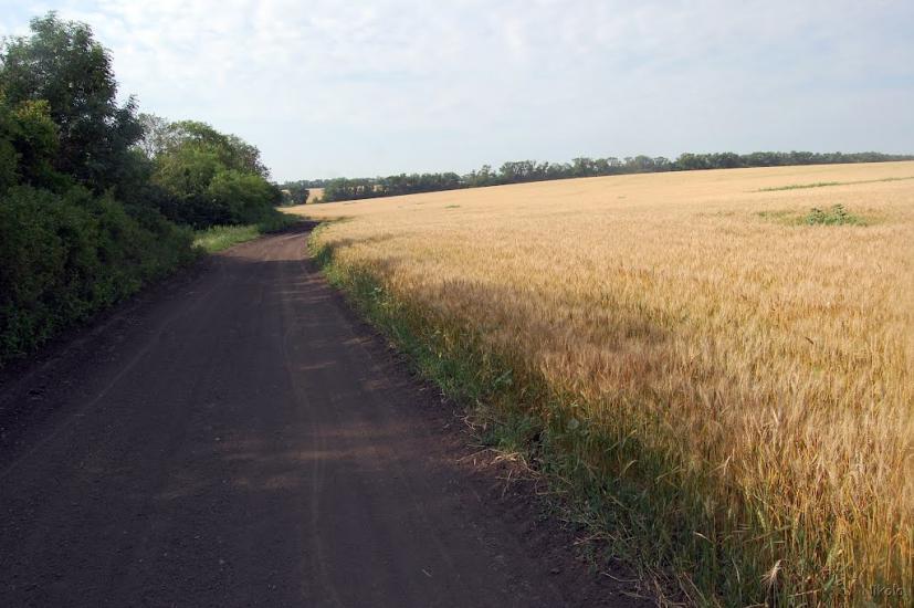 Булгаківка з panoramio.com - Булгаковка