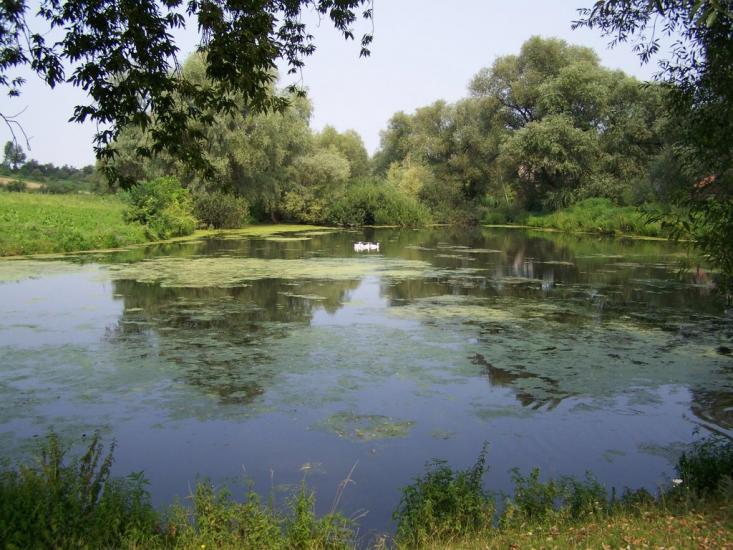 Хорів з panoramio.com - Khoriv