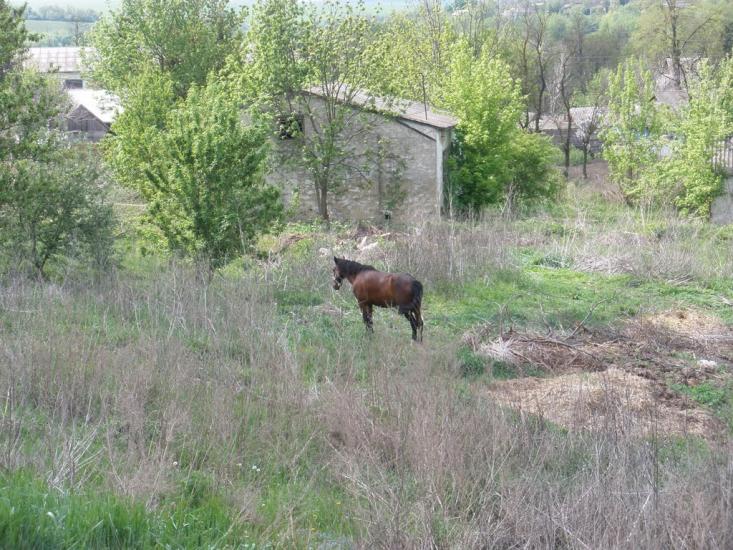 Володіївці з panoramio.com - Володіївці