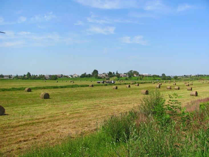 Новостав з panoramio.com - Новостав