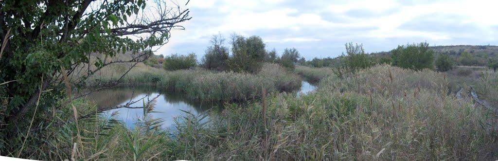 Старозаводське з panoramio.com - Старозаводское