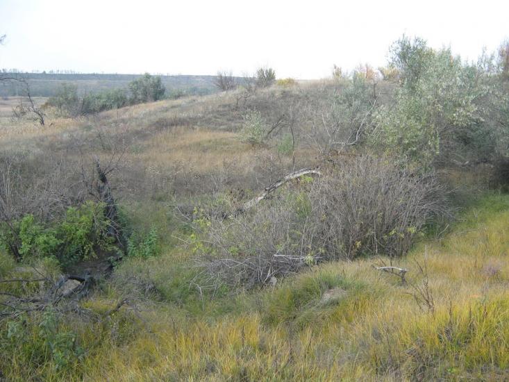 Старозаводське з panoramio.com - Старозаводское