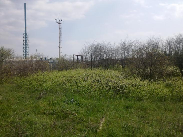 Галицинове з panoramio.com - Галициново