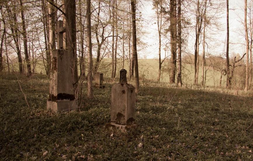 Мшанець з panoramio.com - Mshanets