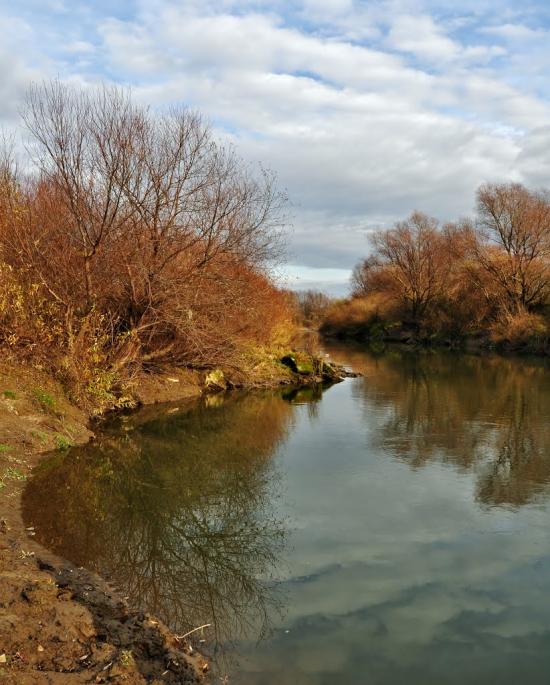 Липиці з panoramio.com - Липиці