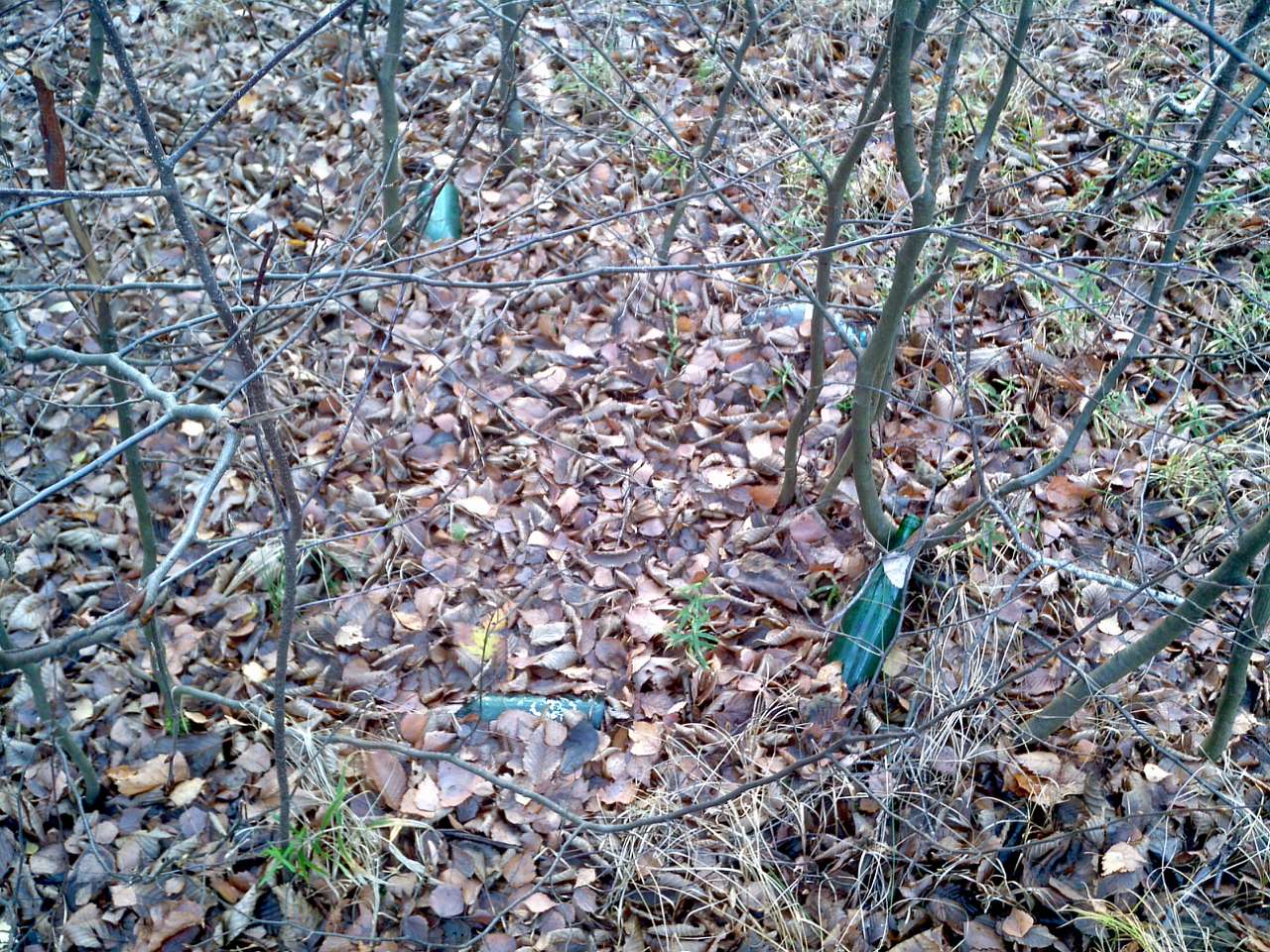 Здесь был чЕЛОВЕК - Городець