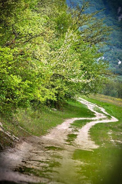 Орлине з panoramio.com - Орлине
