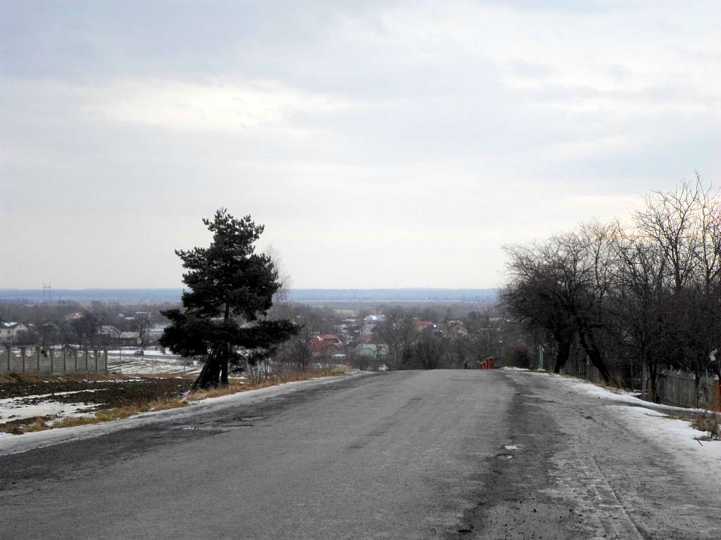 краєвид - Lysovychi