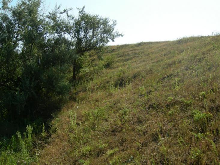 Пересадівка з panoramio.com - Пересадівка