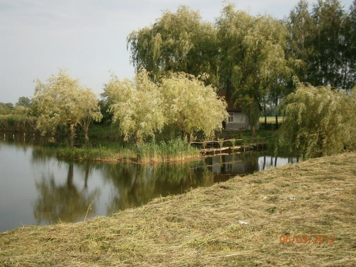 Берездівці з panoramio.com - Берездівці