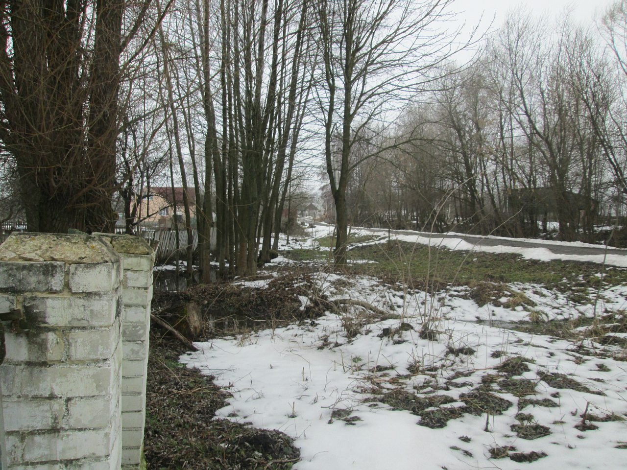 Мостове у лютому 2014 - Мостове