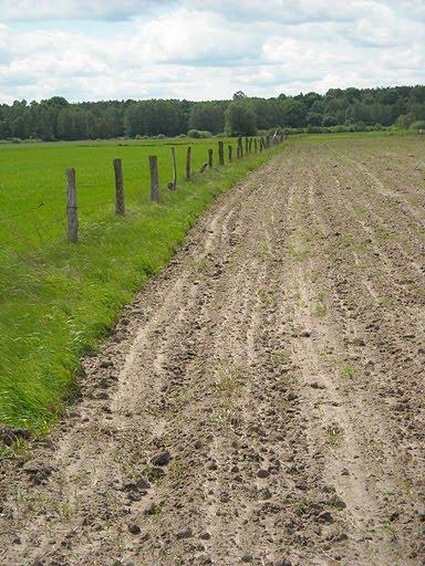 Кошари з panoramio.com - Кошари