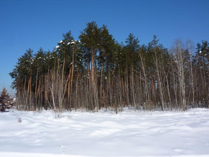 Романків з panoramio.com - Романков