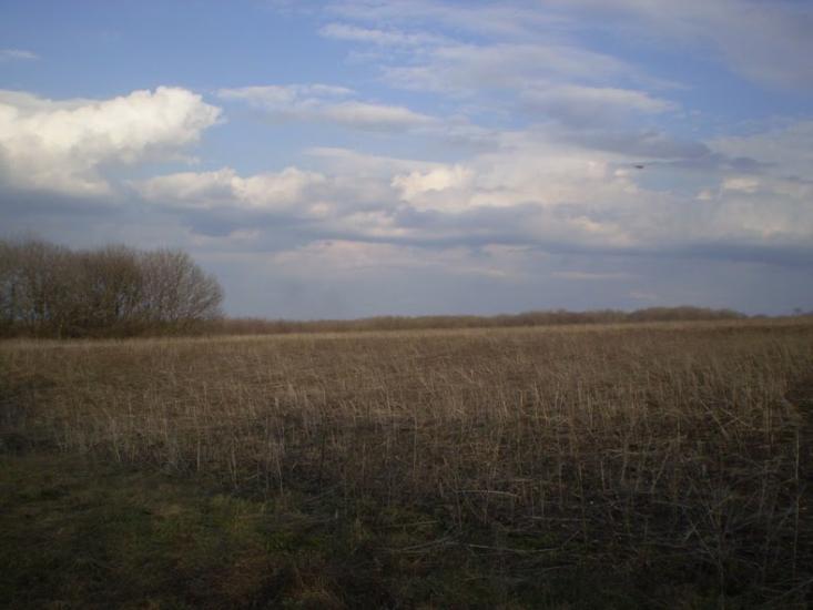 Кринична з panoramio.com - Кринична